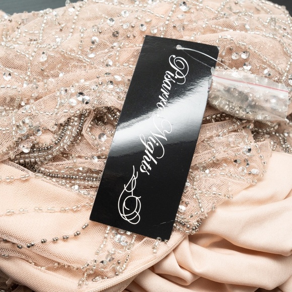 Pisarro Nights. Diamond Motif Mesh Blouson Gown In Blush. - Picture 14 of 16